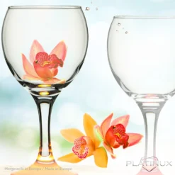 Trinkgläser Bunt Aus Glas Weingläser Mit Buntem Stiel 220ml Set 6-Teilig Getränkeglas Wasserglas Weißweingläser -Deutschland Herd Geheimnis Verkaufs-Shop 04fc51e4106ab66456b25fd598038667