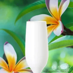 Weiße Sektgläser Set 6 Teilig Champagnergläser 160ml (max. 200ml) Aus Glas -Deutschland Herd Geheimnis Verkaufs-Shop 71e37cf06c21062af65bcb33b4e3921a