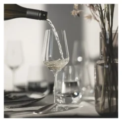 STERNSCHLIFF WEIßWEINGLAS-SET #2 VON DESIGN BY RITZENHOFF -Deutschland Herd Geheimnis Verkaufs-Shop 924c4df2ef31882be6e08443b9efb8c1