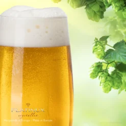 Bierkelche 500ml (max. 580ml) Set 6-Teilig Bierglas Weizengläser Aus Crystalline Glas -Deutschland Herd Geheimnis Verkaufs-Shop a1c472d4c58d1d0c0a533ed5175c2710