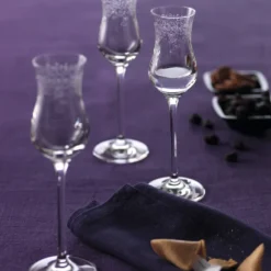 LEONARDO Grappaglas CHATEAU 6er-Set 90 Ml, 061594 -Deutschland Herd Geheimnis Verkaufs-Shop d62d69db69fbfe08c56a15b7b8bfc79d